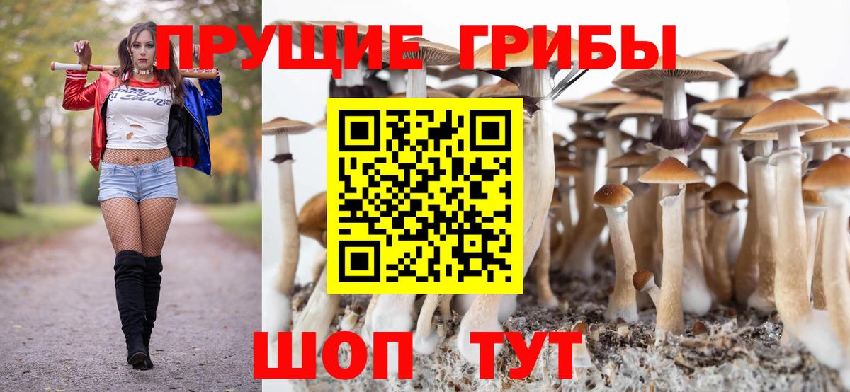 Галлюциногенные грибы Psilocybine cubensis  Вход с VPN  Рузаевка 
